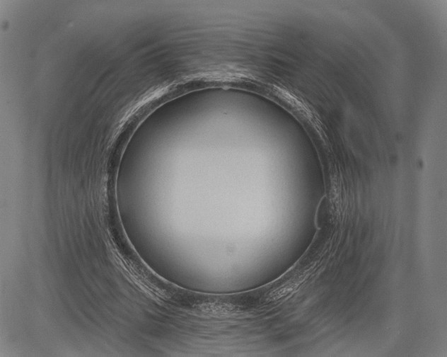 X0000083610535200703051546