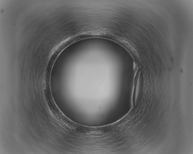 X0000083610536200703051546