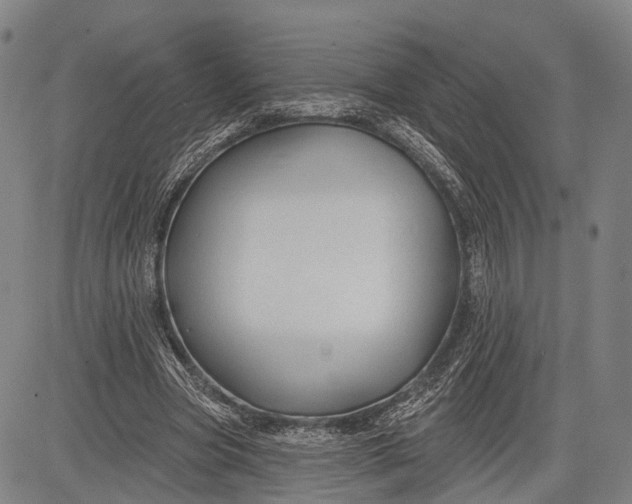 X0000083610537200703051546