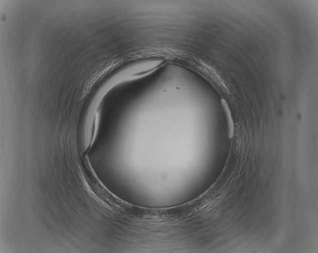 X0000083610538200703051546