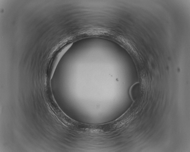 X0000083610539200703051546