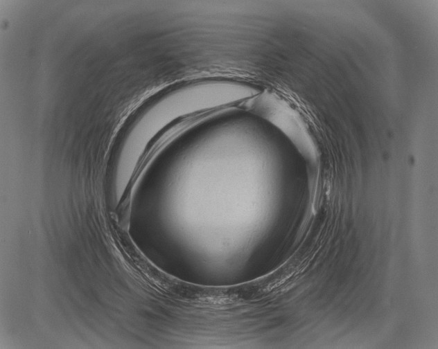 X0000083610540200703051546