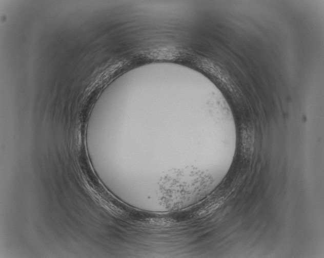 X0000083610541200703051546