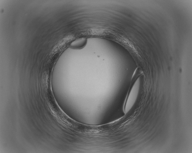 X0000083610542200703051546