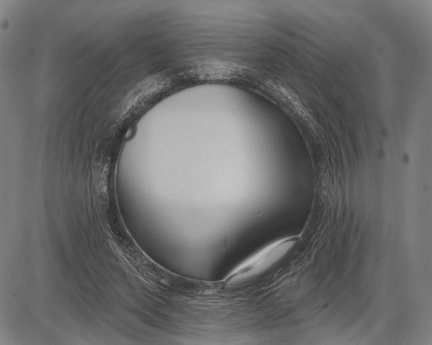 X0000083610543200703051546