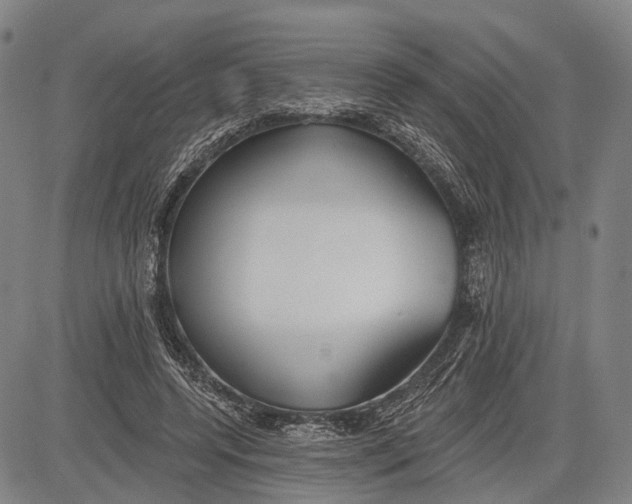 X0000083610544200703051546