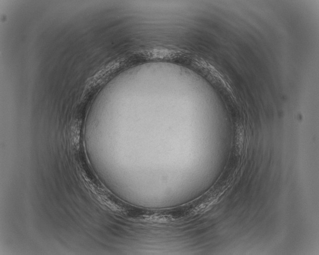 X0000083610545200703051546