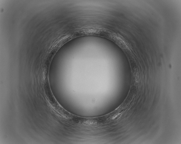 X0000083610546200703051546