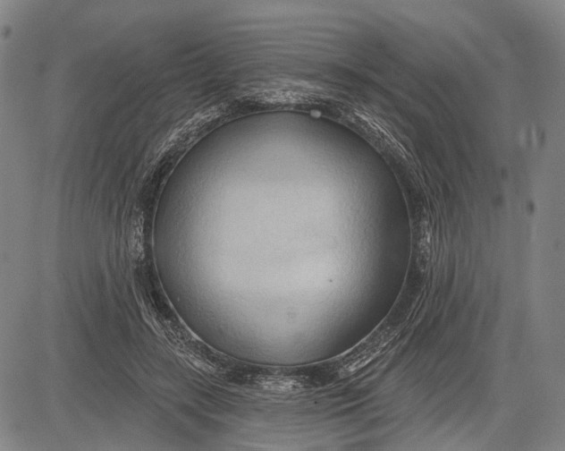 X0000083610547200703051546