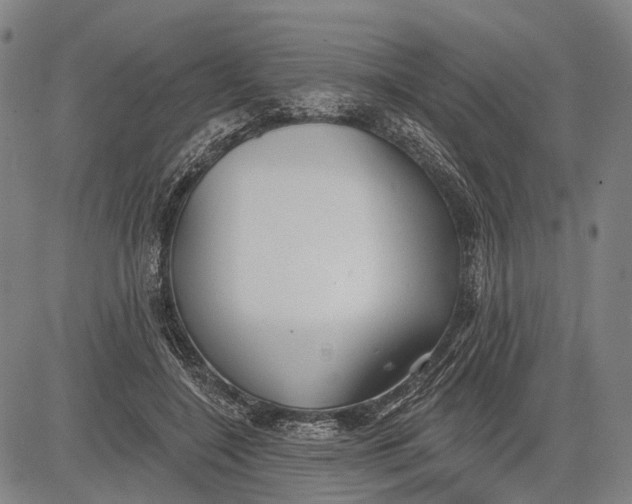 X0000083610548200703051546