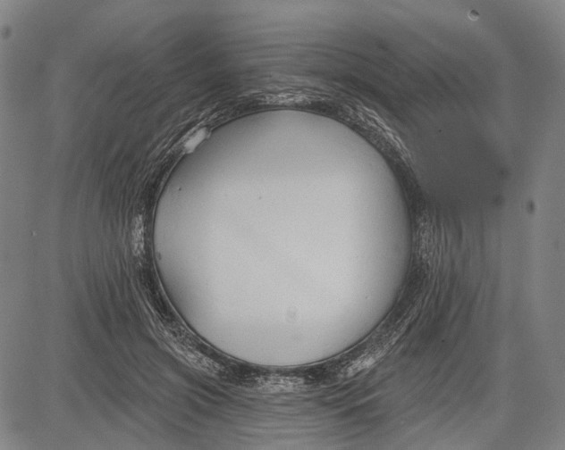 X0000083610549200703051546