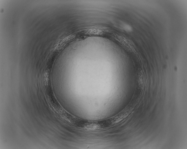 X0000083610551200703051546