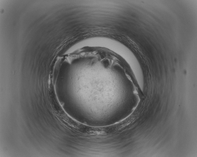 X0000083610552200703051546