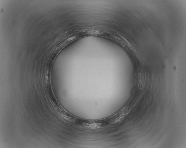 X0000083610553200703051546