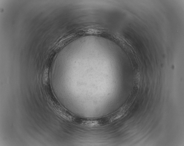 X0000083610554200703051546