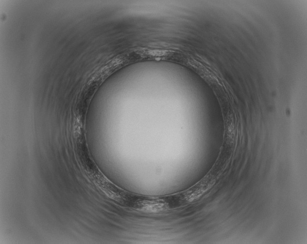 X0000083610555200703051546