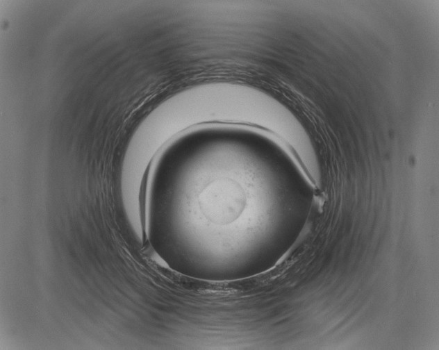 X0000083610556200703051546