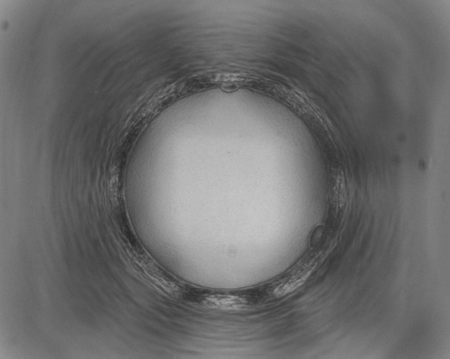 X0000083610557200703051546