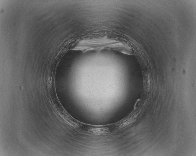 X0000083610558200703051546