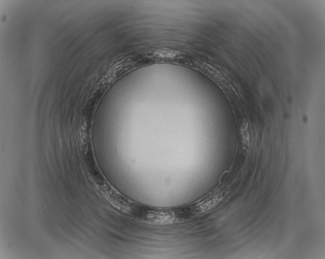 X0000083610559200703051546