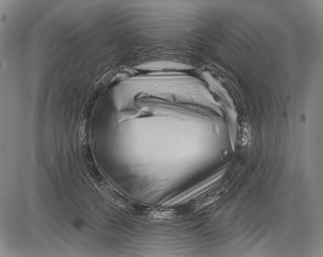 X0000083610560200703051546