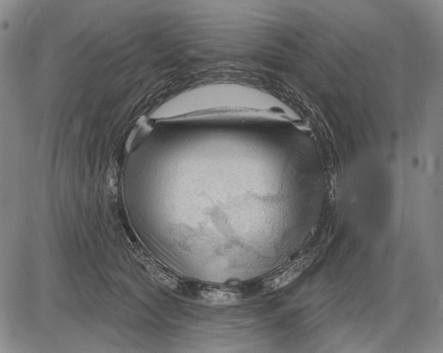 X0000083610561200703051546