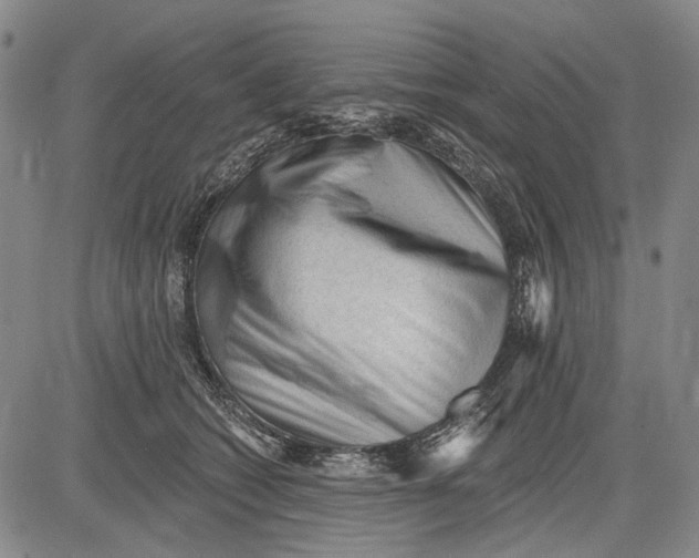 X0000083610562200703051546