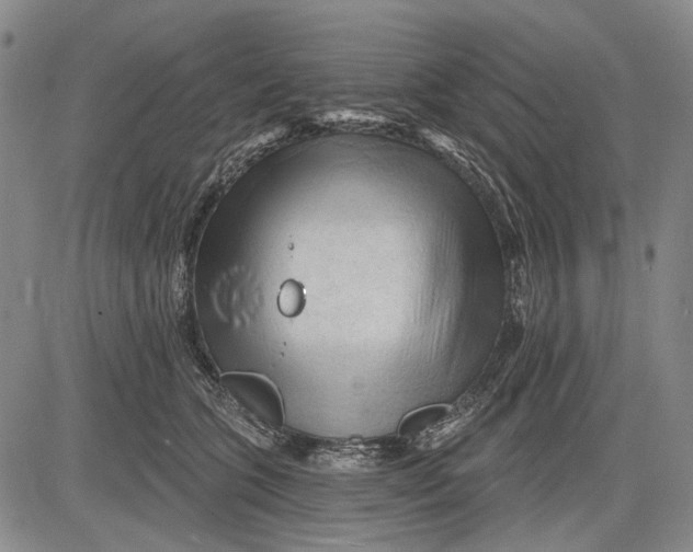 X0000083610563200703051546