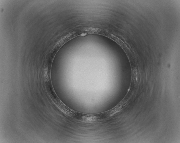 X0000083610564200703051546