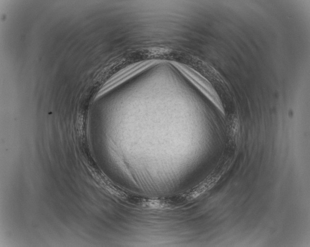 X0000083610565200703051546