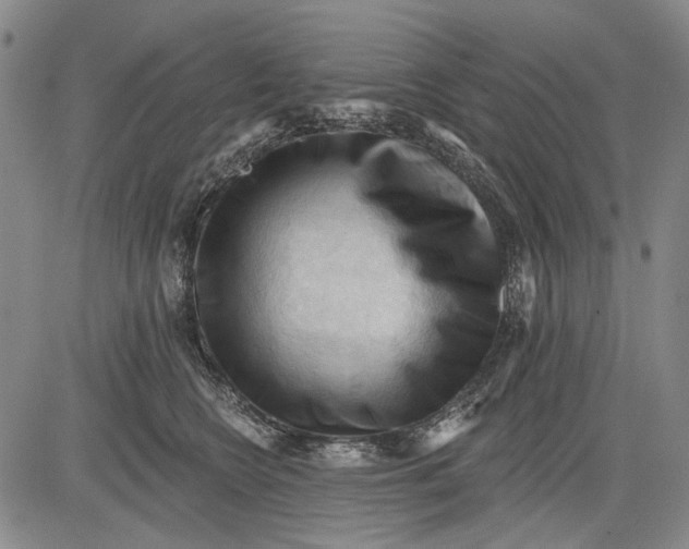 X0000083610566200703051546