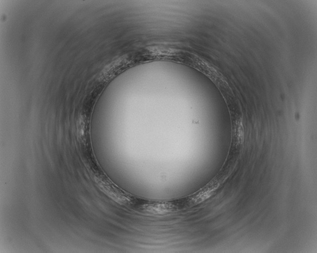 X0000083610567200703051546