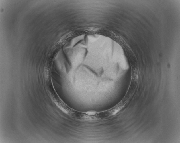 X0000083610568200703051546