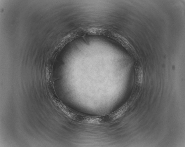 X0000083610569200703051546