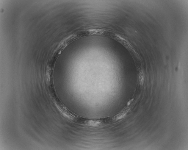 X0000083610570200703051546