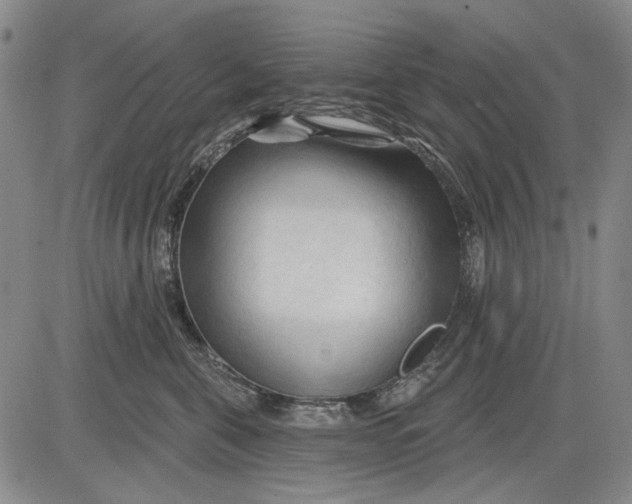 X0000083610571200703051546