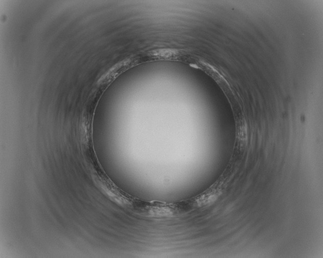 X0000083610572200703051546