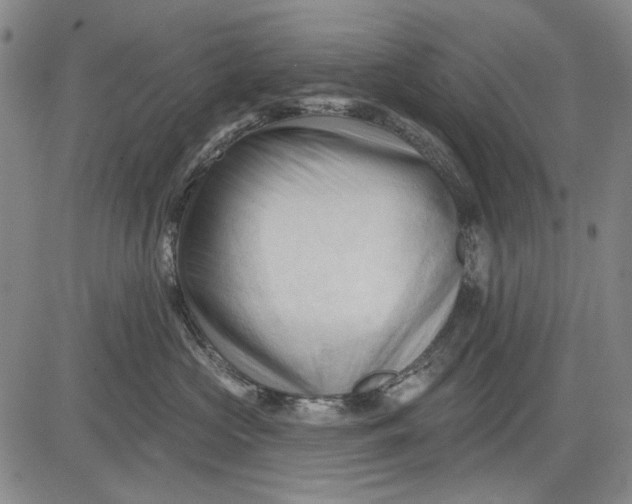 X0000083610573200703051546