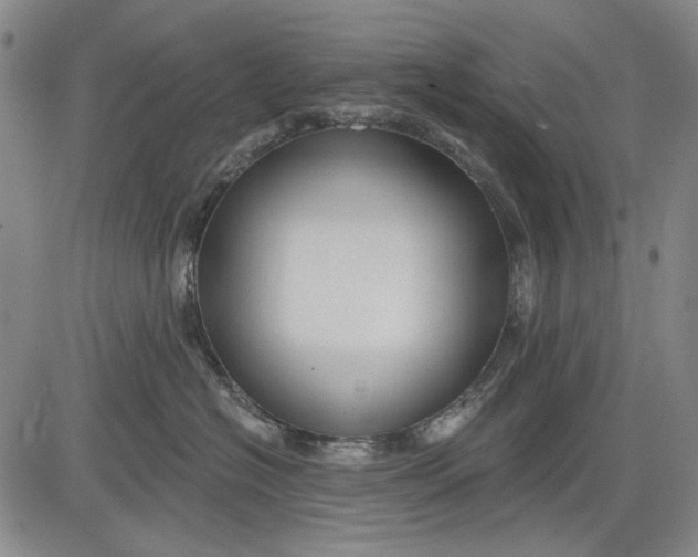 X0000083610574200703051546