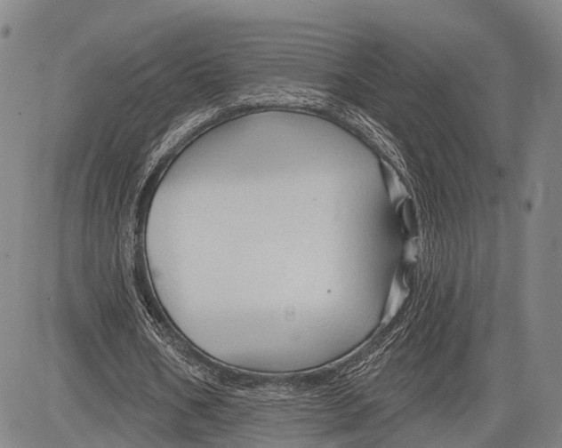 X0000083610578200703051546