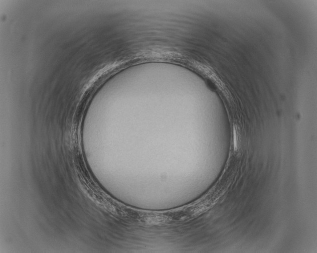 X0000083610579200703051546