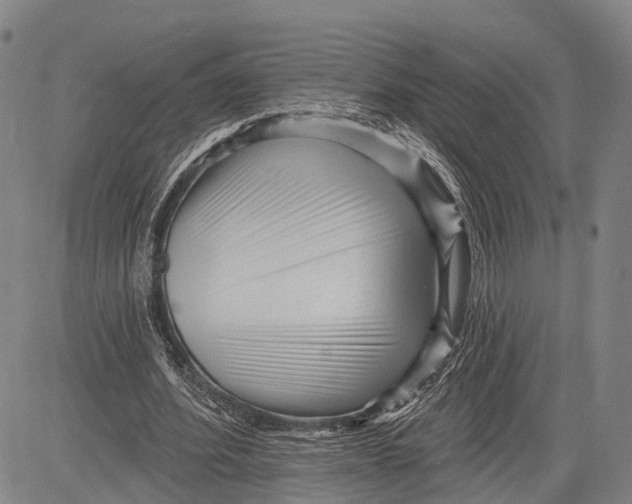 X0000083610580200703051545