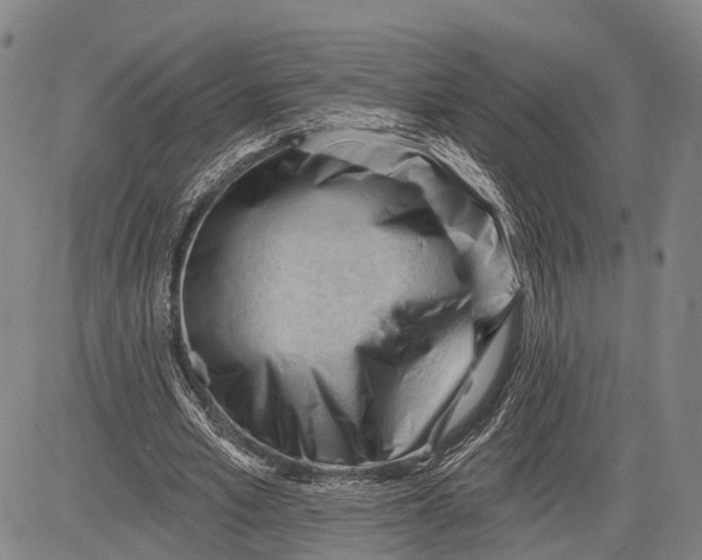 X0000083610581200703051545