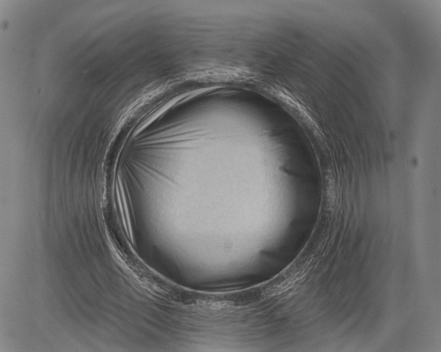 X0000083610582200703051545