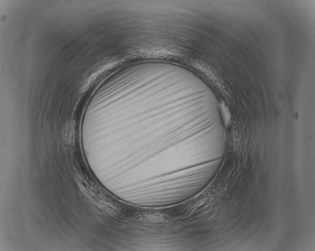 X0000083610583200703051545