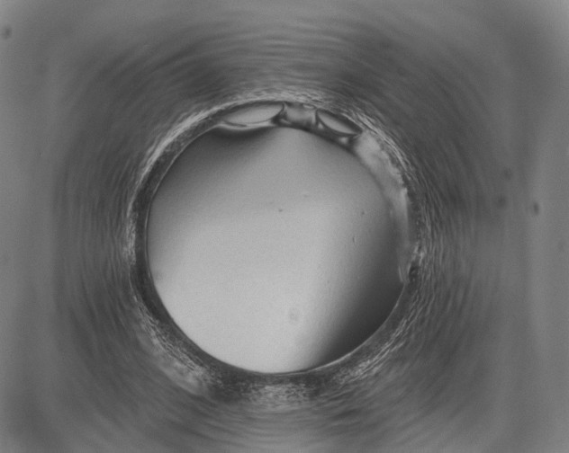 X0000083610584200703051545