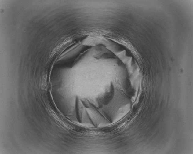 X0000083610585200703051545