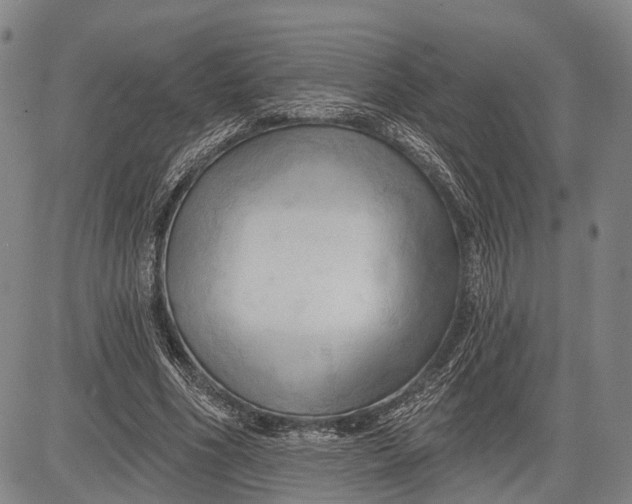 X0000083610586200703051545