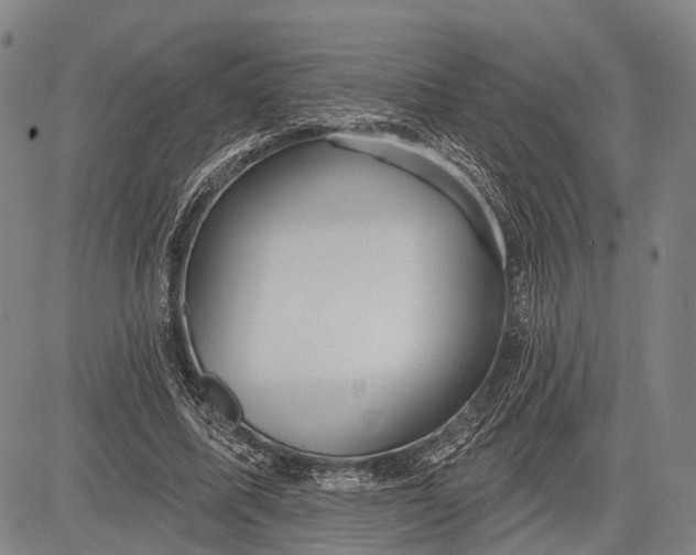 X0000083610587200703051545