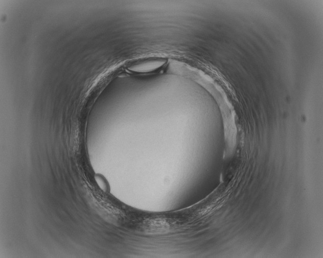 X0000083610588200703051545